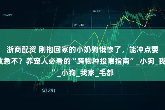 浙商配资 刚抱回家的小奶狗饿惨了，能冲点婴儿奶粉救急不？养宠人必看的“跨物种投喂指南”_小狗_我家_毛都